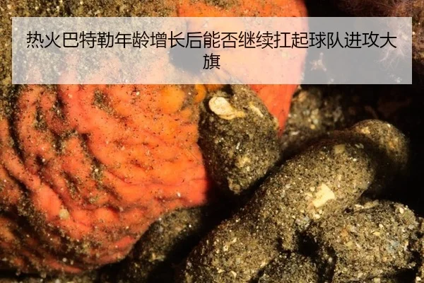 热火巴特勒年龄增长后能否继续扛起球队进攻大旗
